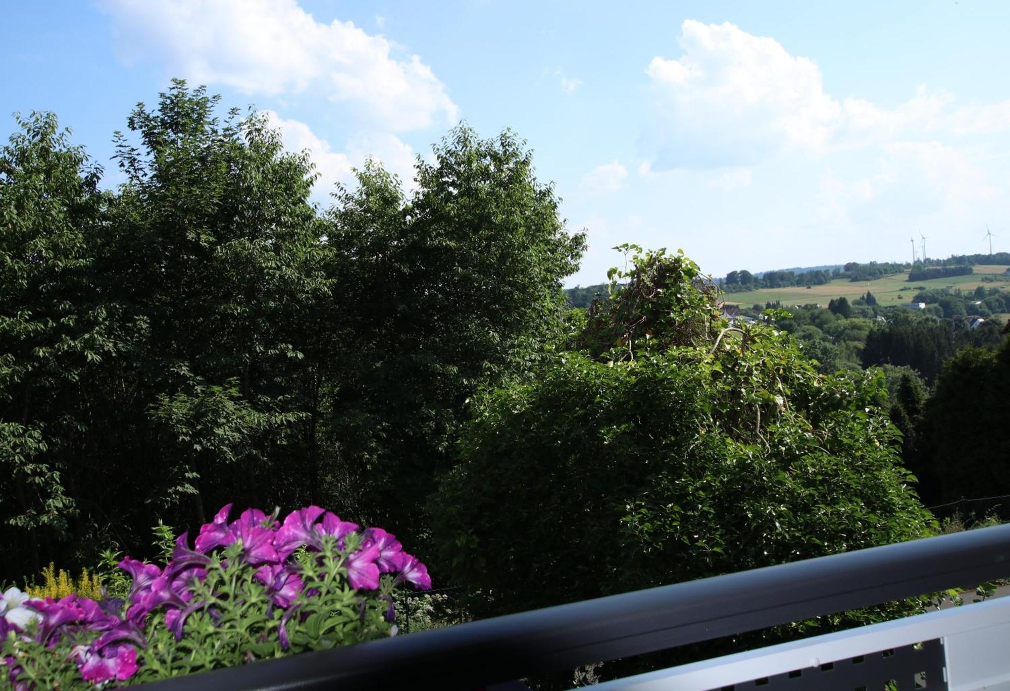 Ferienwohnung Zum Rosengarten West015 Westerwald Driedorf ภายนอก รูปภาพ